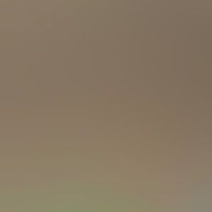 Meet your Posher, Hailey